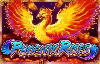 Phoenix Rises